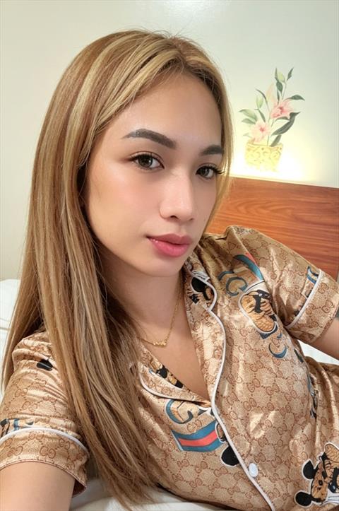 arkiexhiia