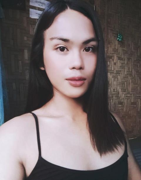ziee