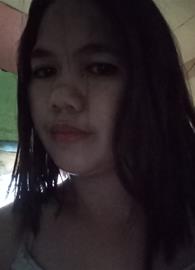 veehapi