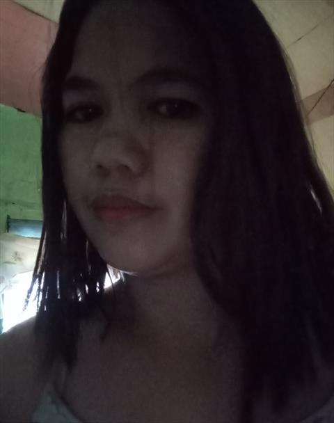veehapi