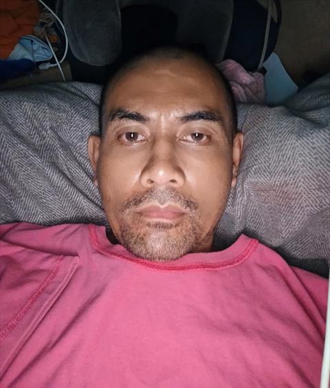 monkeyboy