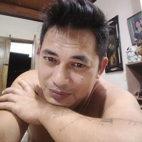 Pulubi