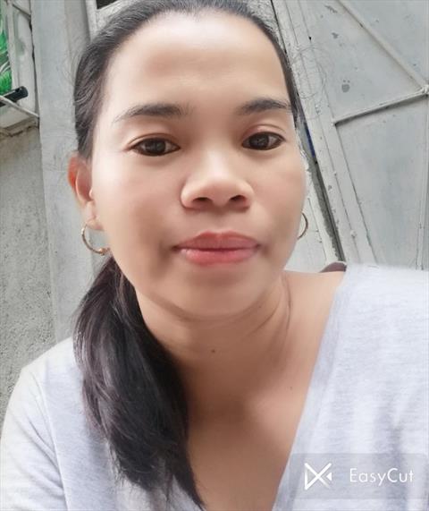 lovesedano