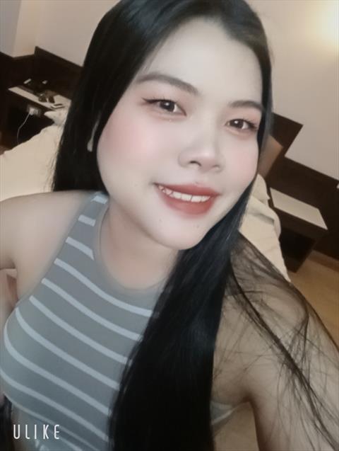 Bamboo23115