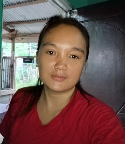 Jasinie