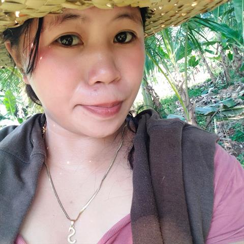 nova sarong
