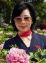 ZhangFan