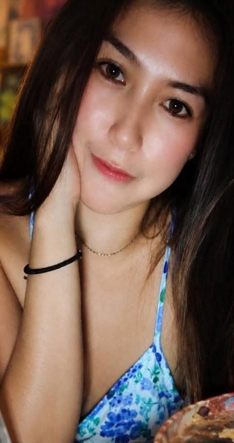 carebear