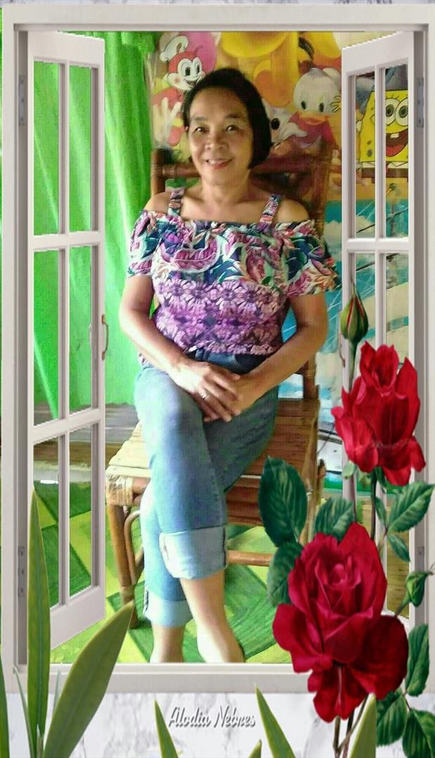 Rovinaalmeida