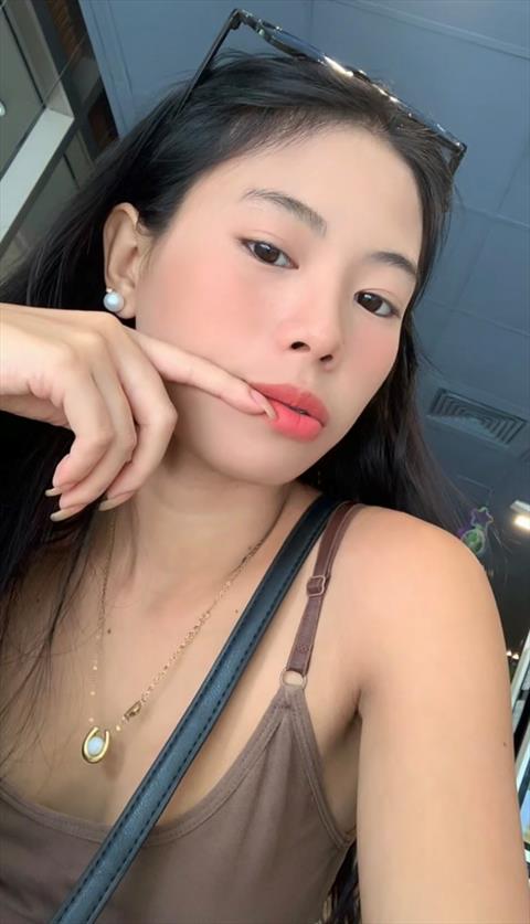 gelayzx