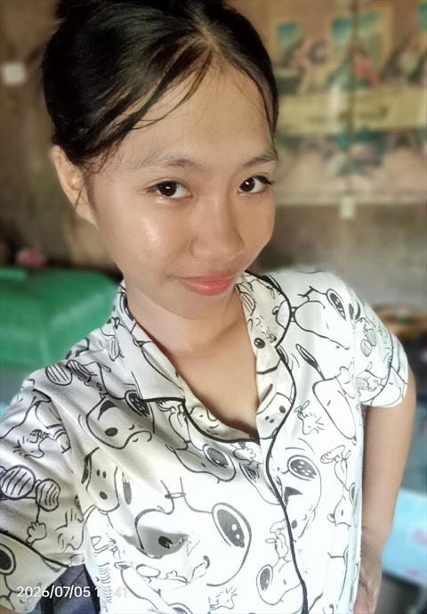 yassi tomines