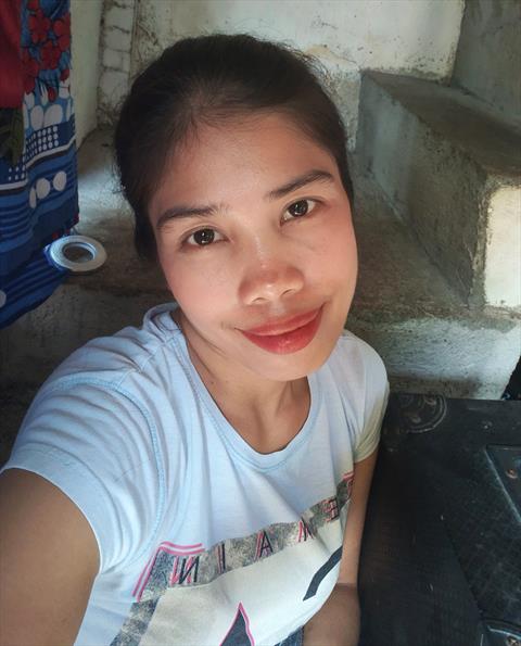 ann33