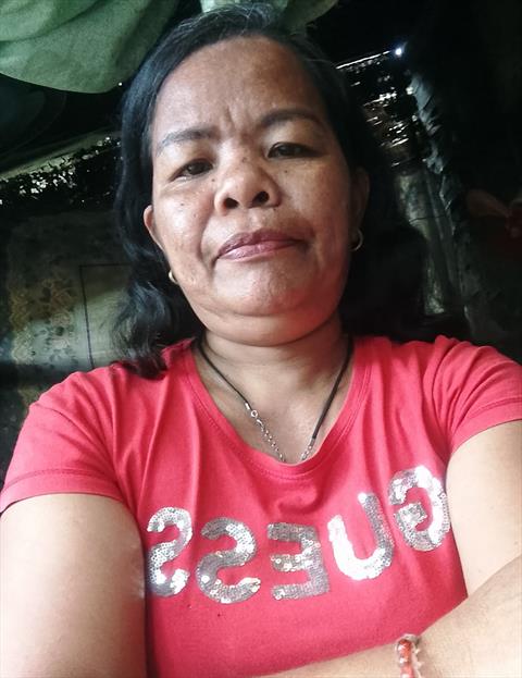 Gracia bualan