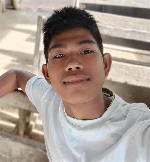 RolitoReboca