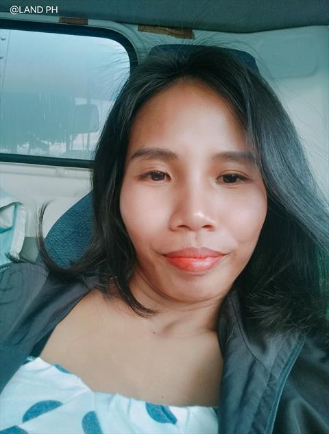 1jenly